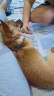 Как хорошо на падушке🤣
