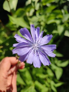 Великий Новгород и окрестности