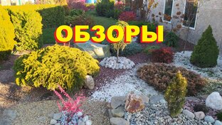 ОБЗОРЫ: МОЙ САД И ДРУГИЕ