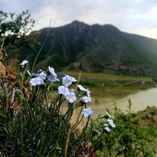 Короткие истории...