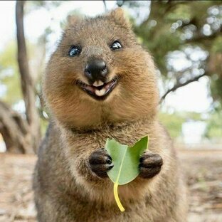 Пёрлышки из реальной жизни 😜