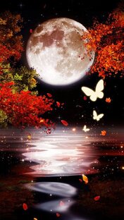 Спокойной ночи 🌙 