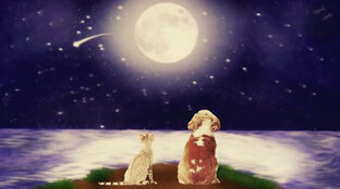 Статьи о музыке