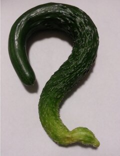 Нешуточные проблемы