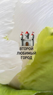 Калининградская мозаика