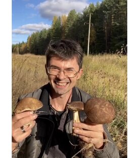 Грибы. 