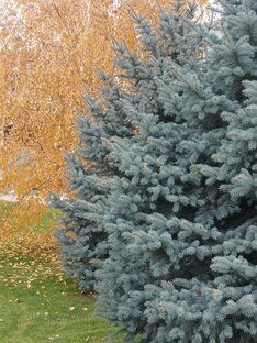 Записки "прогульщиков"