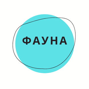 Фауна