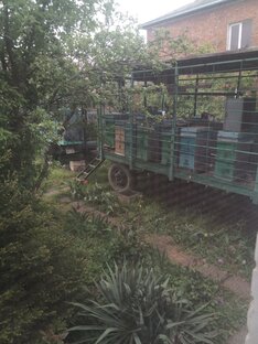 Подготовить пчел к зимовке  