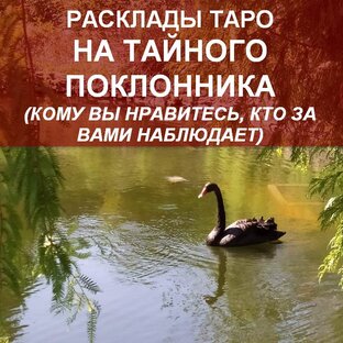 НА ПОКЛОННИКА видеорасклады для женщин