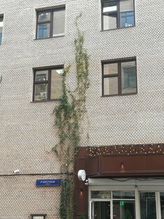 Удивительное рядом😲