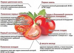 Шпаргалка Садовода