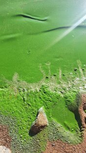 Изумрудный берег 