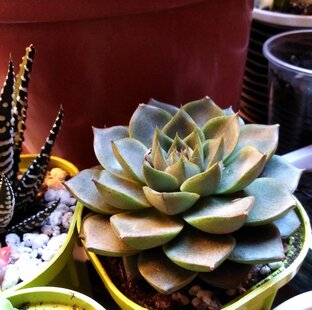 Посты с фотографиями моей каллекции