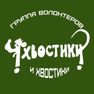Финотчеты. Нужды приюта.