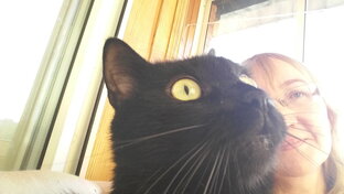 Бонин уголок