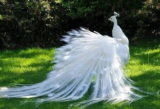 Разное - интересное