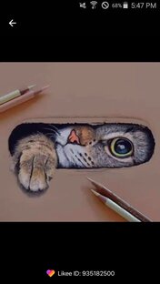 Красавчик 😻😻😻