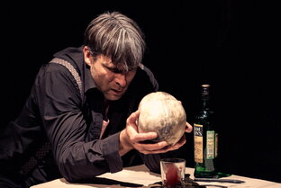 Спектакли, выступления