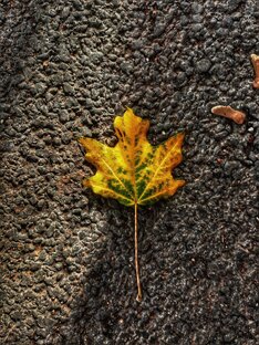 Пока Мартин спит