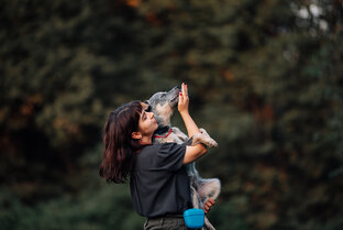 Обо мне и моей работе🐶