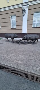 Зверушки и природа