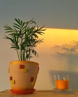 Кинопятницы