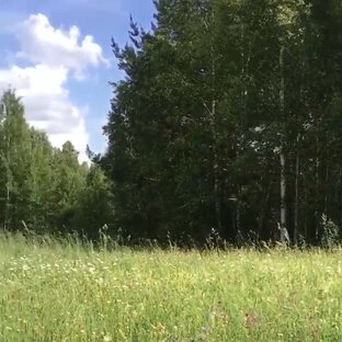 Моя провинция