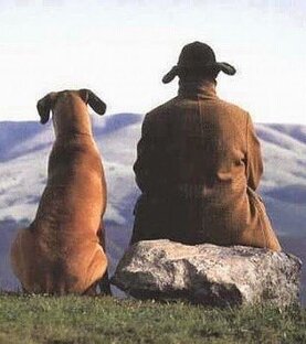 Познать дзен, не привлекая внимания санитаров