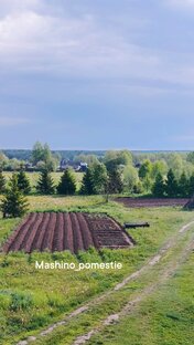 Огород - от пустыря до урожая