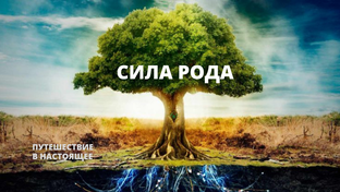 Сила Рода. Карма Рода.. Исцеление