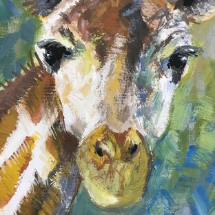 Животный мир