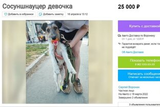 Статьи и мемы