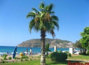 Курорты для РФ