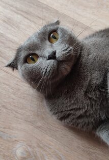 Наша Милашка! 😻