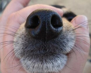 Интересные факты