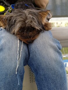 Юми в отпуске😻