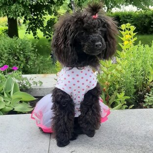 Счастье  это просто