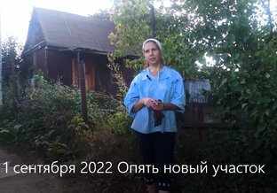 5-й сад с 2022 г