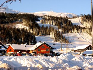  НОВОГОДНИЕ СКАНДИНАВСКИЕ КАНИКУЛЫ