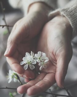 Симпатия к лицу