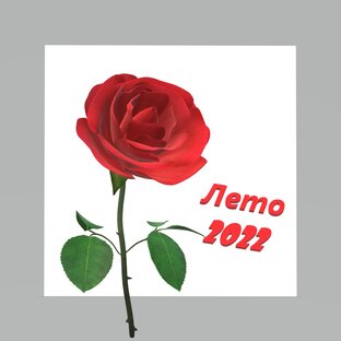 Конкурс "Лето-2022"