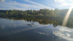 Приключения Иванушки-дурачка и рыжего кота