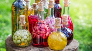 Настойки и наливки на самогоне лучшие рецепты
