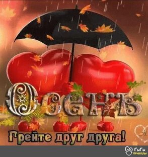 Осень 🍂 🍁 🥮 