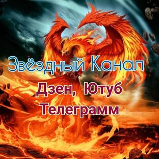 Феникс видео