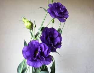 Искусство,  хорошее и разное