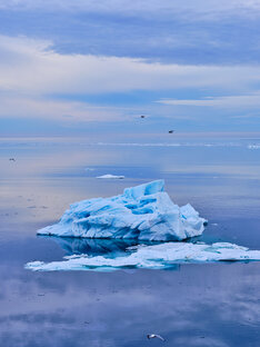Экспедиция на Северный Полюс