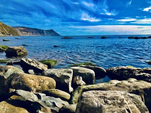 Видео-прогулки 