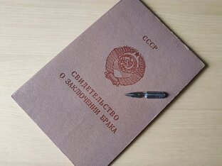 роман "Мать звезды"